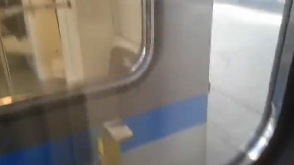 Бутовская линия Московсково метро