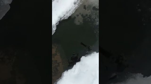 Супер рыбалка смотреть онлайн