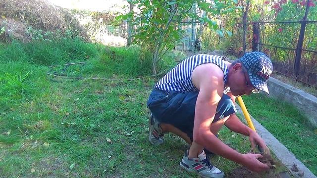 1 Видно золото и видно серебро (1).mp4 смотреть онлайн