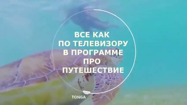 Весь мир у Ваших ног.... смотреть онлайн