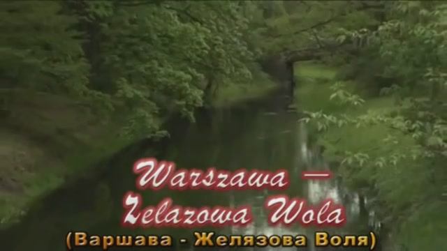Музыка моей души. Ученический проект к 210-летию со дня рождения Ф. Шопена.