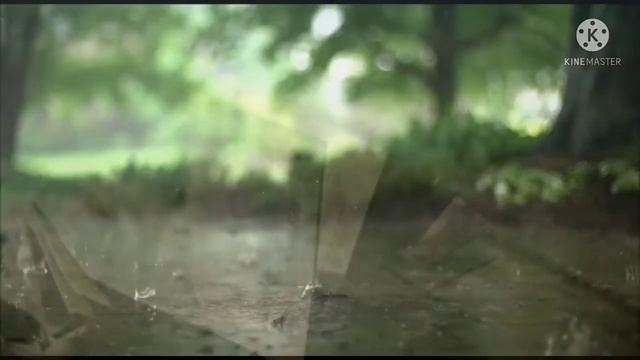 Наматбекова А. К. Философия: её предмет и место в культуре смотреть онлайн