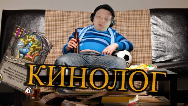 Кинолог крутит Наалу SILVERNAME Сильвейрнейм Hearthstone хс