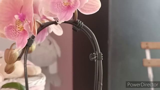 И всё-таки он у меня!😍🤘-Моя новиночка!🤗 смотреть онлайн