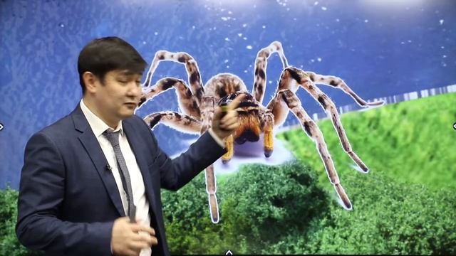 Английский язык / Онлайн-урок №2 / ЕНТ смотреть онлайн