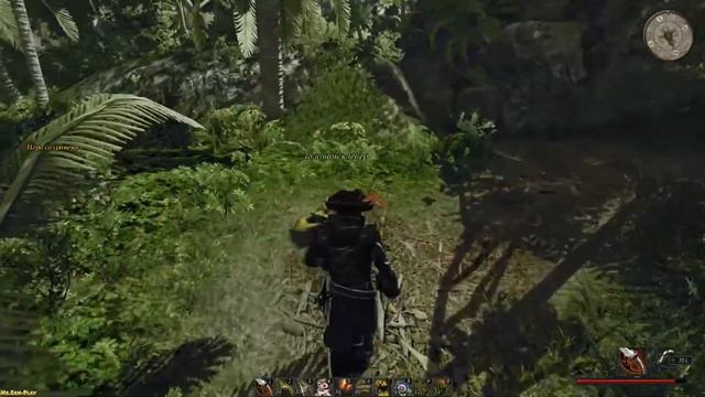 Risen 2 ► All around Maracay(Кругом Маракай) №39 смотреть онлайн