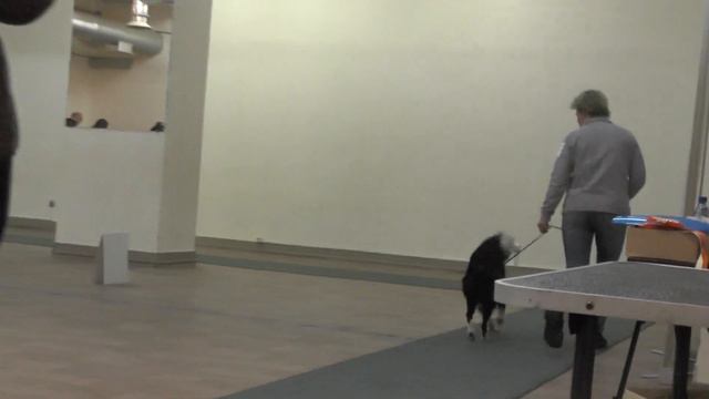 00009 бр колли смотреть онлайн