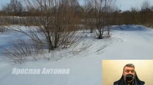 Спасая племянницу Женя подумать не могла как сложиться ее судьба после