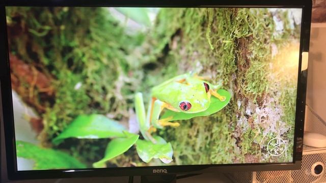 BENQ GL2460BH | GAMING OFFICE MONITOR 24" | Unboxing - Review смотреть онлайн