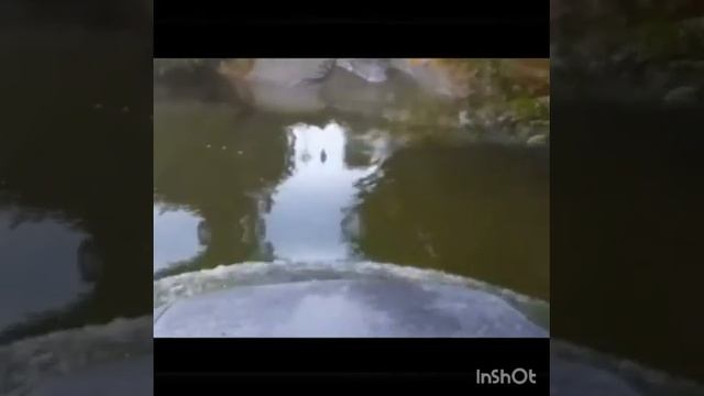 Рыбалка на реке Китой 2020 г. смотреть онлайн