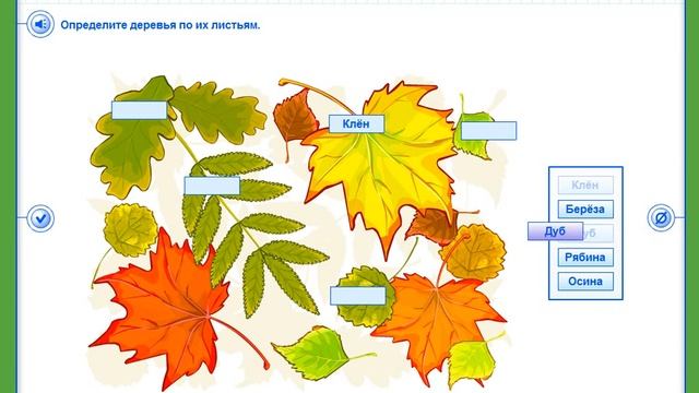 Что за листья. Окружающий мир. 1 класс. смотреть онлайн