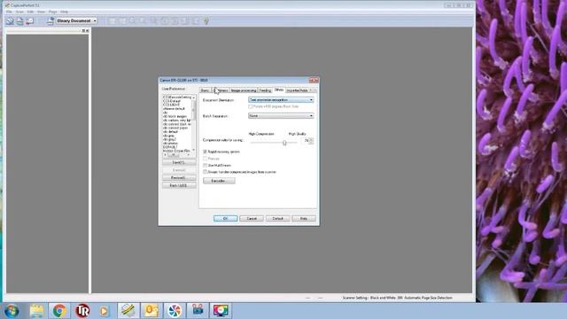 Document Scanning & Indexing смотреть онлайн