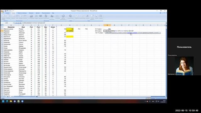 ОГЭ информатика Задание 14 построение круговой диаграммы и формула СЧЕТЕСЛИ смотреть онлайн