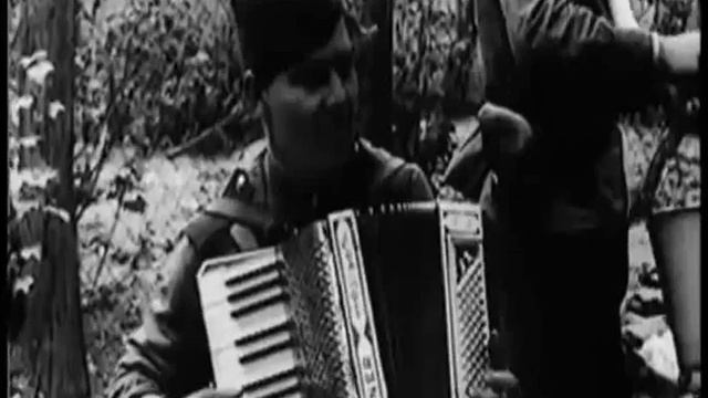 Доктор Ватсон Где ж ты мой сад xvid смотреть онлайн