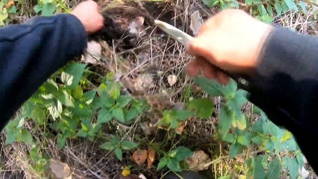 РЯДОВКА ТОПОЛЕВАЯ ПОЛНЫМ ХОДОМ! ДОЖДАЛИСЬ смотреть онлайн