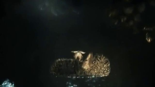 Вера Зубарева. Дерево. Стихотворение смотреть онлайн