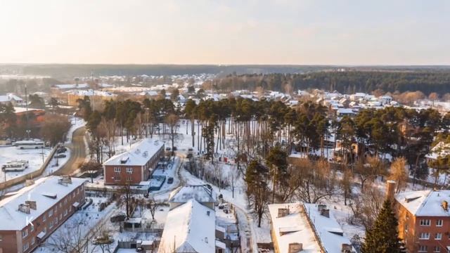 Расцветай на Пушкина