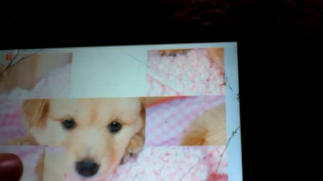 Игра пазл ценят. смотреть онлайн