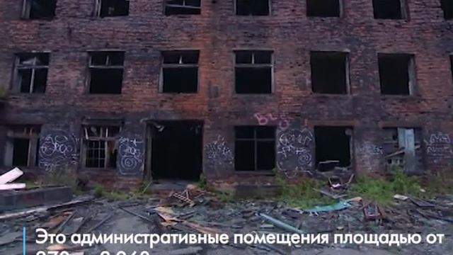 Красный треугольник Питер смотреть онлайн