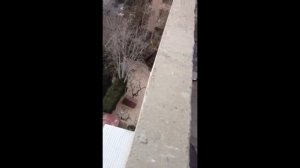 Кот упал с 9 этажа!