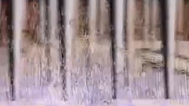 Мойка для собак!!! смотреть онлайн