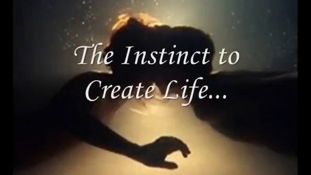 The Witch's Sabbat - Beltane (link in description) смотреть онлайн