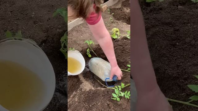 Капельный полив подземный смотреть онлайн