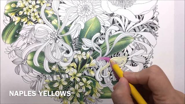 Floribunda Coloring #5 | Part 1 - Reupload смотреть онлайн