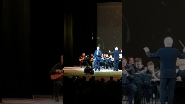 "Верни мне музыку"- Сергей Макаров и Русский народный оркестр "Пенза" смотреть онлайн