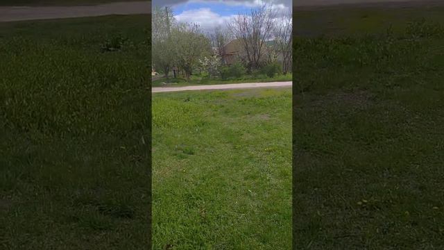 Биполярка. Спорт площадка. Часть 1 смотреть онлайн