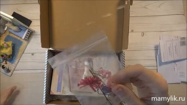 Румбокс. Отзыв смотреть онлайн