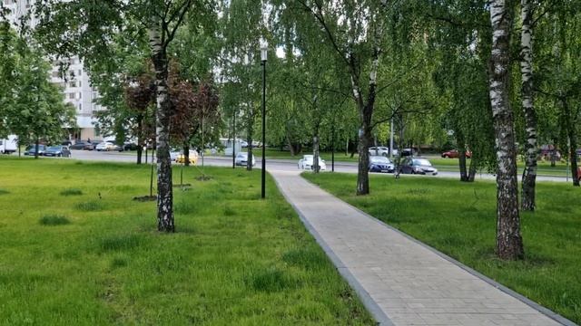 Вся правда о "Samsung Galaxy S22 Plus" смотреть онлайн