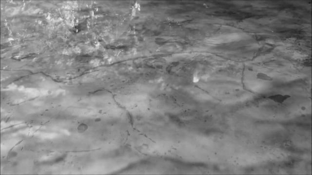 Lightwaterdreamers, Music by Midnight Moodswings X Tensor, Video by Camelia Mirescu смотреть онлайн