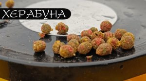 Осеннее тесто. Моллюски. Карась.