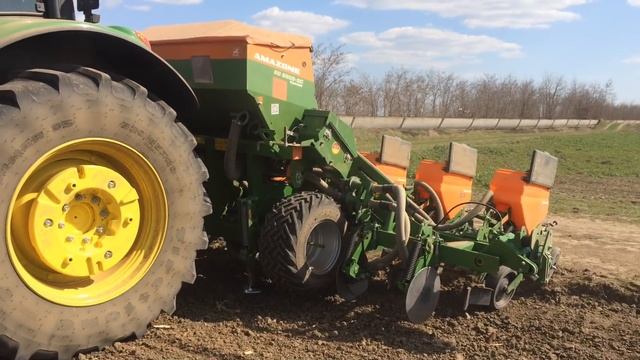 Начали сеять подсолнечник, но не мы | John Deere 6155М AMAZONE ED 6000 смотреть онлайн