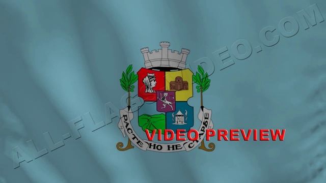 Video of flag Sofia смотреть онлайн