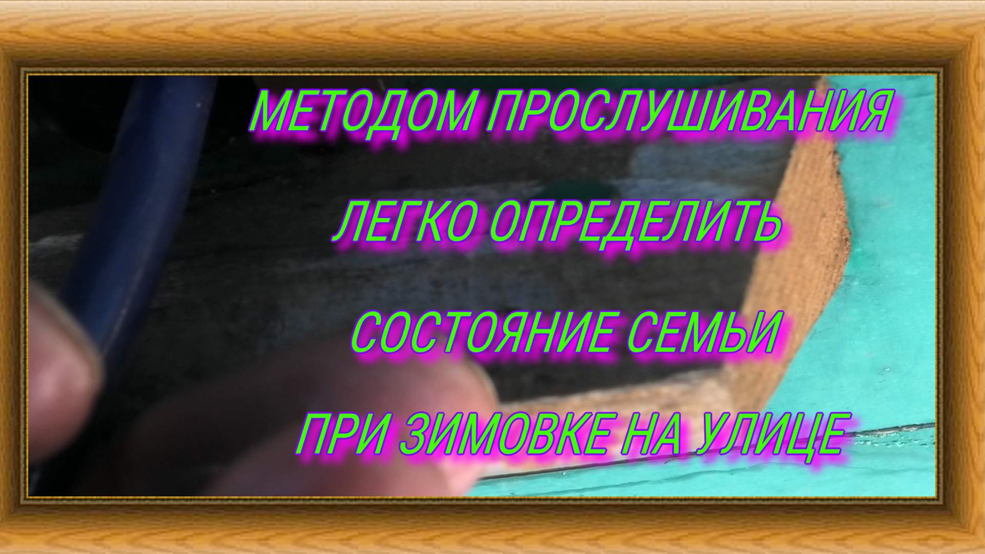 ЗИМОВКА НА УЛИЦЕ.КОНТРОЛЬ ЖИЗНЕДЕЯТЕЛЬНОСТИ ПЧЁЛ ФОНЕНДОСКОПОМ. смотреть онлайн
