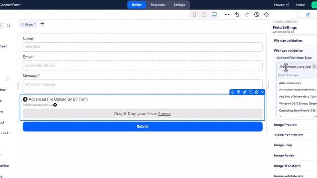 File Type Validation in Advanced File Upload with Bit Form смотреть онлайн
