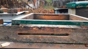 Как правильно сделать зимнюю вентиляцию в улье.