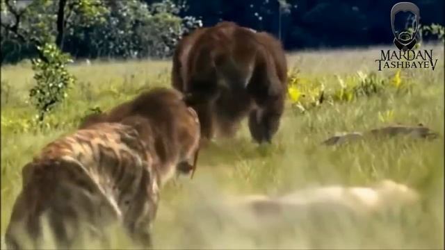 ӘЛЕМДІ БАСҚАРҒАН ТАРИХТАҒЫ ҚОРҚЫНЫШТЫ 10 ЖАНУАР (2-БӨЛІМ) смотреть онлайн