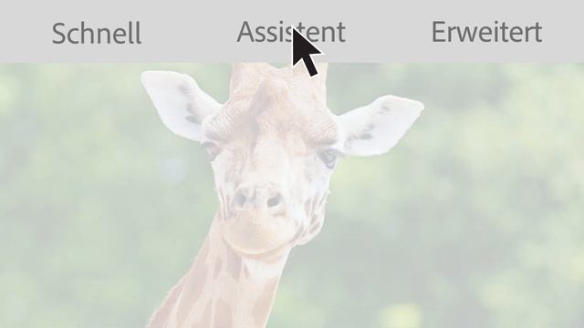 Direktzugriff auf kostenlose Adobe Stock-Medien. смотреть онлайн