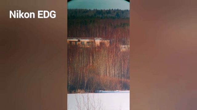 1ч. Leica APO-Televid 82, Nikon EDG 85, Swarovski 30-70/95, Видео тесты. Зрительные трубы. смотреть онлайн