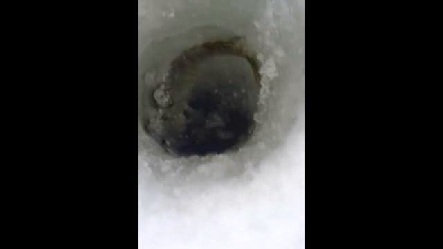 ловля щуки на жерлицы 2 смотреть онлайн