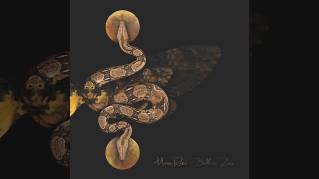 Roots And Weeds смотреть онлайн