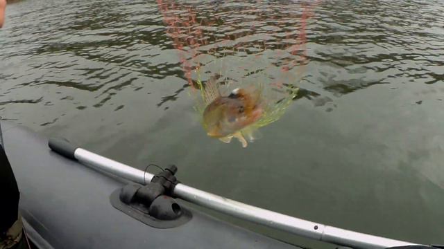 рыбалка на Яузском вдхр с ночёвкой осенью смотреть онлайн