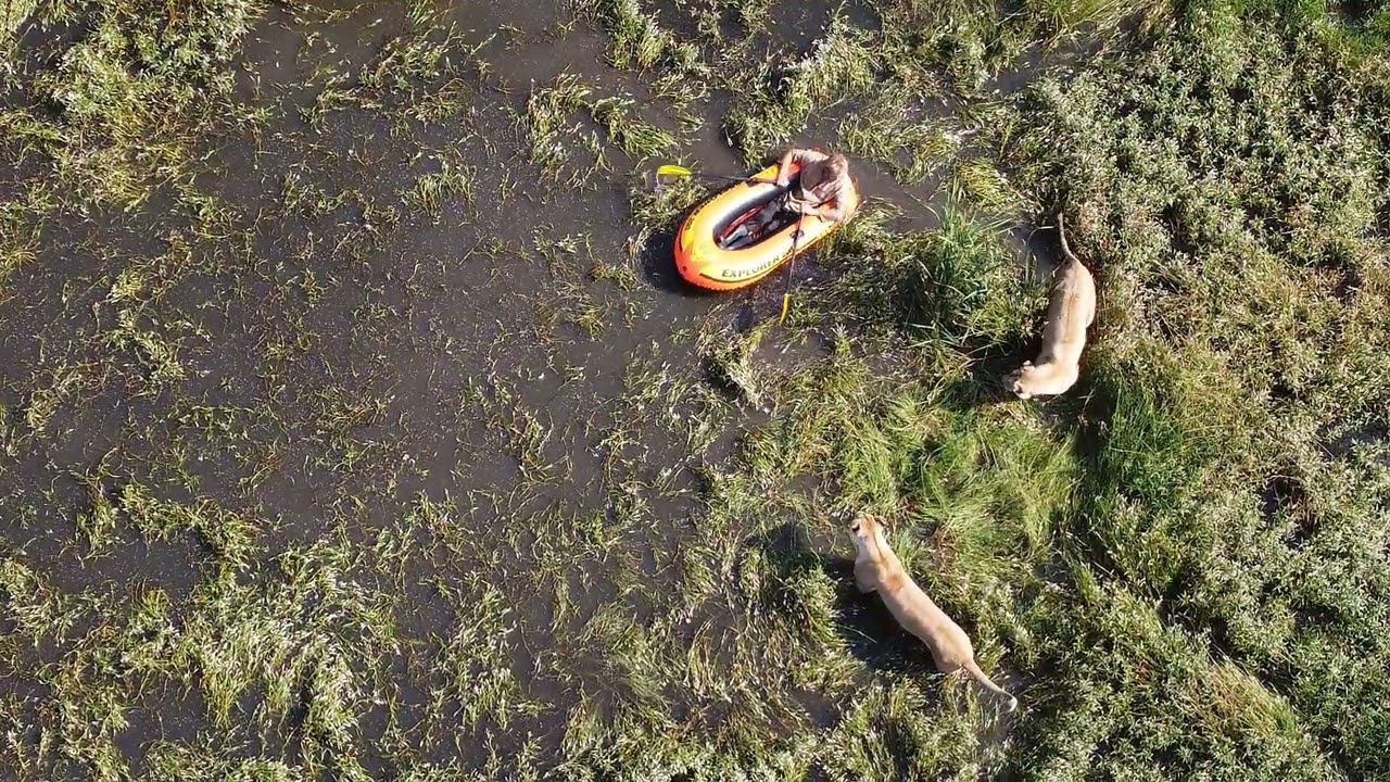 Какое море, такой и Титаник) смотреть онлайн