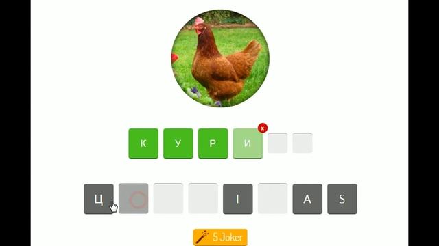 Картинки 1 слово - животные, как играть онлайн на Z-Game.XYZ смотреть онлайн
