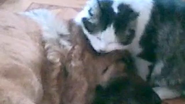 Колись давай, где был