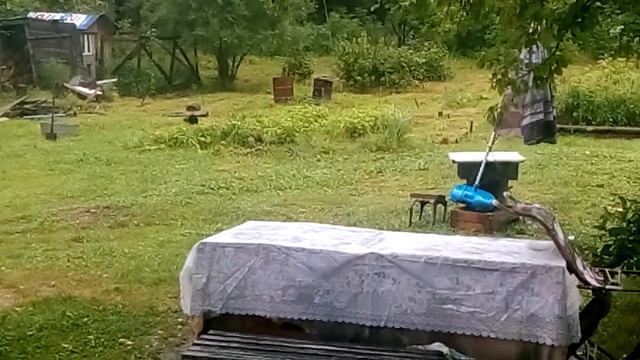 фазанчике ну их не видно смотреть онлайн