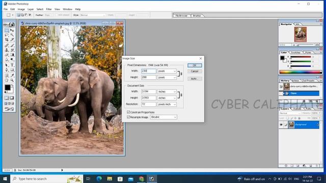 How To Resize Image In Photoshop  ||  Image Size Reducer In Kb  ||  Signature Size Reduce ??